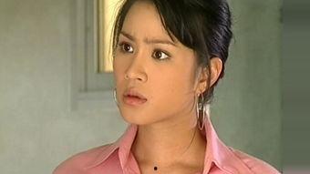 vill女明星,闪耀舞台的璀璨之星