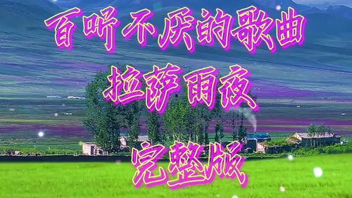 今日头条拉萨之夜歌曲,探寻藏地风情与音乐魅力