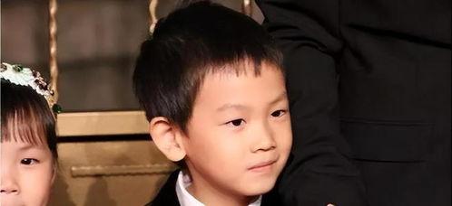 王子豪明星,星光璀璨的演艺之路