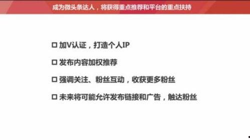 头条文章推荐数量不显示,头条文章推荐数量背后的秘密