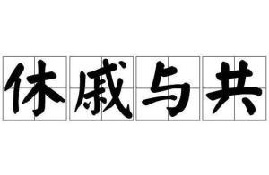 休戚与共头条,共筑和谐社会的时代篇章