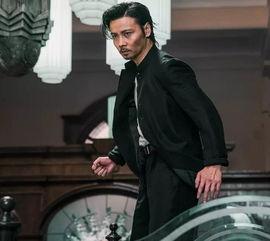 整形失败武打明星,武打明星整形失败，昔日英勇形象尽毁