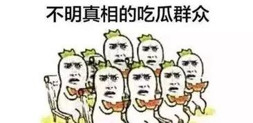 吃瓜群众暗号大全最新,网络热词背后的趣味解读
