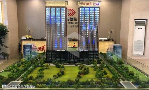 上海虹桥网红坠楼,悲剧背后的网络迷思与安全警示