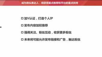 头条可以关注的人有哪些,揭秘你可以关注的各类精彩人物