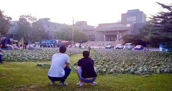 黄山学院吃瓜事件,校园舆论风波背后的真相探究