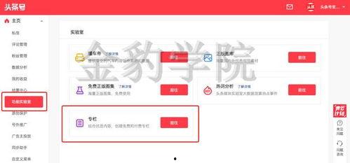 头条可以申请哪些专栏,解锁多样化内容创作平台
