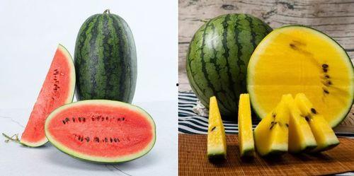 吃瓜 吃瓜 瓜瓜瓜,揭秘“吃瓜群众”的瓜瓜瓜世界