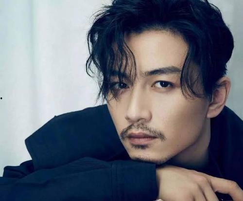 合肥的明星,璀璨星河中的合肥之光