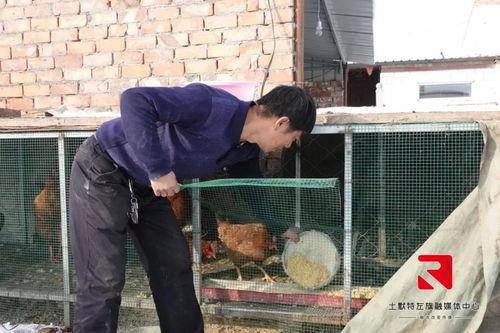 侯永强的头条,揭秘他的成功之路与商业智慧