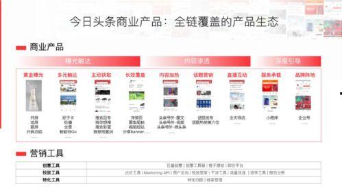 头条带货选哪个方向