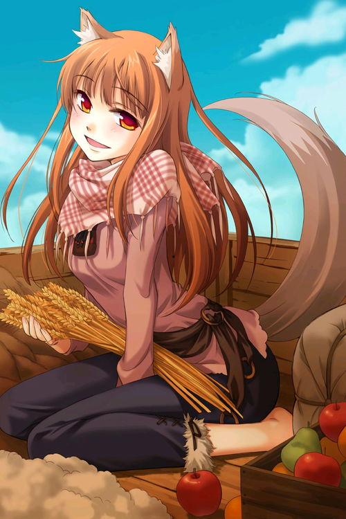 狼与香辛料看撒,探寻异世界之旅的奇幻旅程