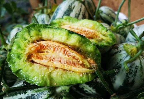 博洋瓜什么季节吃,夏季消暑佳品，尽享清凉美味